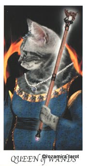 Cat's House Tarot by Hiroko Miyamoto